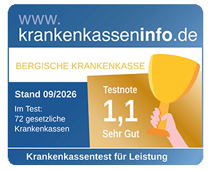 Tüv Siegel Service tested
